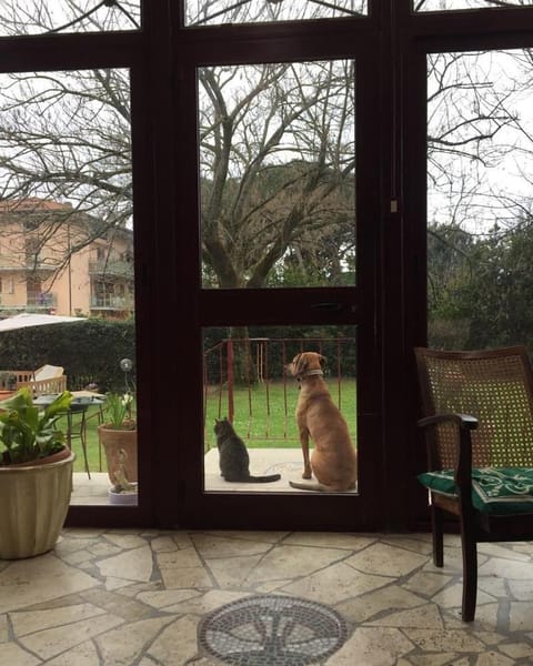 B&B Villa Acero Bed and Breakfast in Marina di Carrara