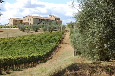 Property building, Day, Garden view