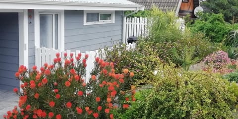 Shells Corner Cottage Apartment in Knysna