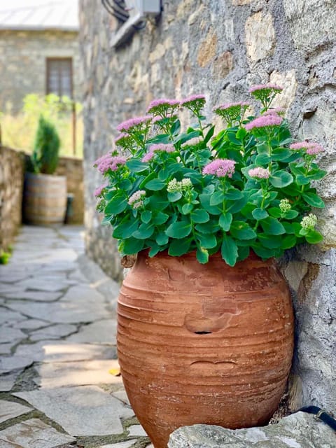 Πέτρινο παραδοσιακό σπίτι "Χιονάτη" House in North Macedonia