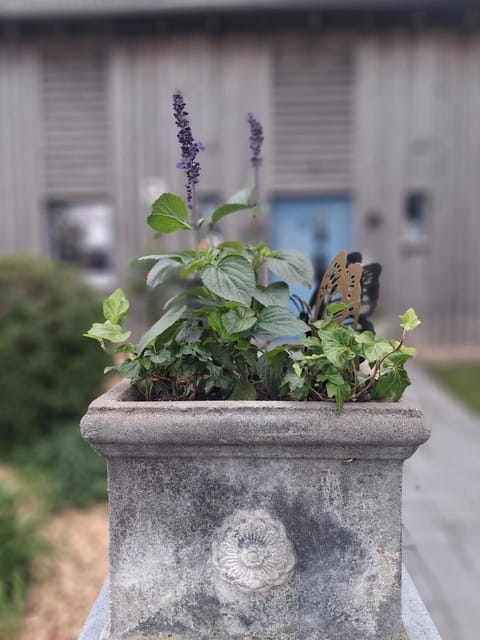 Maison en bois House in Aachen
