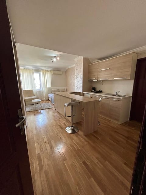 Apartment Marina Apartment in Serbia