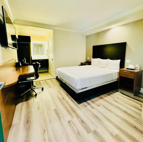 Bed, View (from property/room), Photo of the whole room