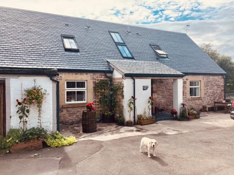 Property building, Pets