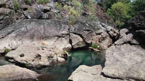 Forest House casinha do Carvalhal Farm Stay in Viana do Castelo District, Portugal