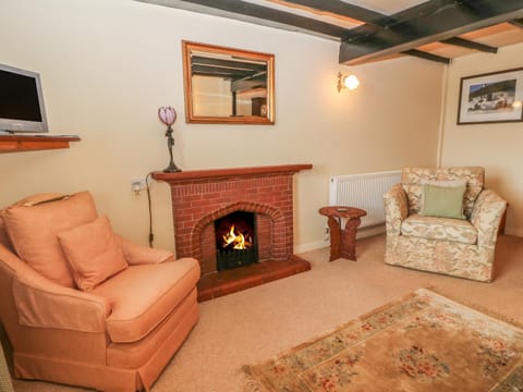 Simdda Wen Cottage House in Wales