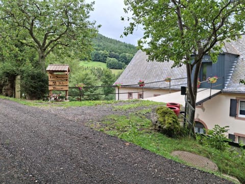 NORDIQUES DE LA WELCHE House in Orbey