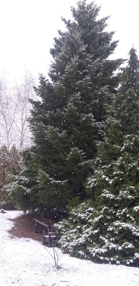 Domaćinstvo Bakić Country House in Vojvodina