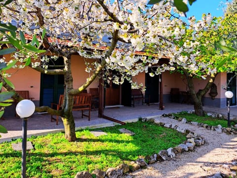 Property building, Garden