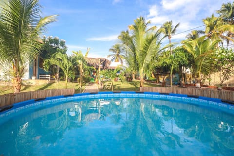 Day, Garden, Pool view, Swimming pool