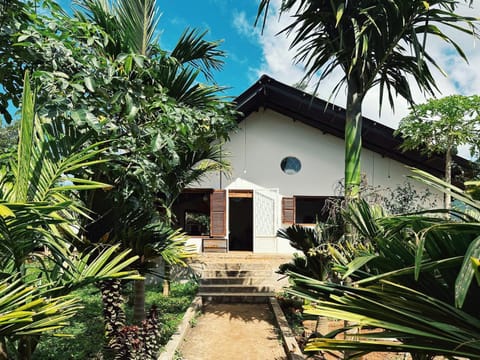 Property building, Day, Garden