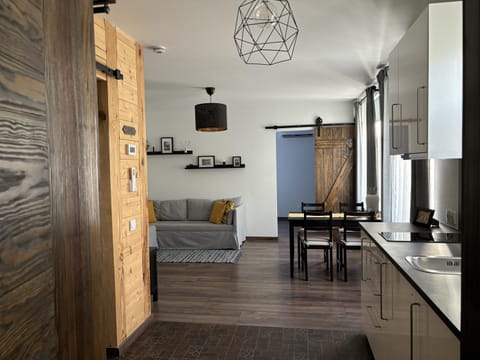 Kitchen or kitchenette, Living room, Seating area, Dining area