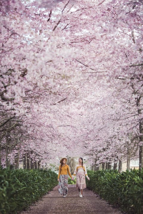 Spring, Natural landscape, Garden