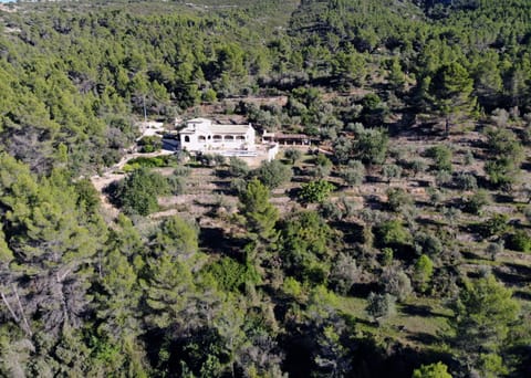 Natural landscape, Bird's eye view