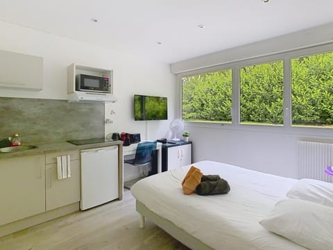 Bed, TV and multimedia, Kitchen or kitchenette, Photo of the whole room, Bedroom, towels