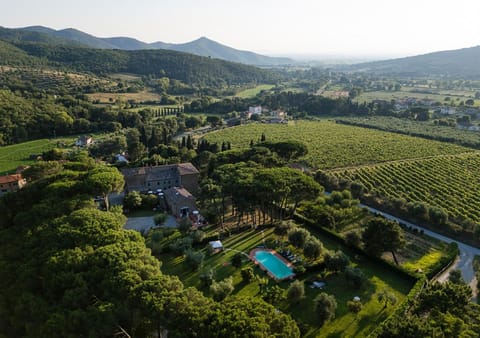 Bird's eye view, Garden, Swimming pool