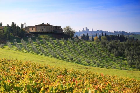 Property building, Natural landscape, City view, Garden view, Landmark view