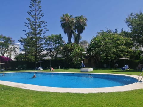 Garden, Swimming pool, Swimming pool, sunbed
