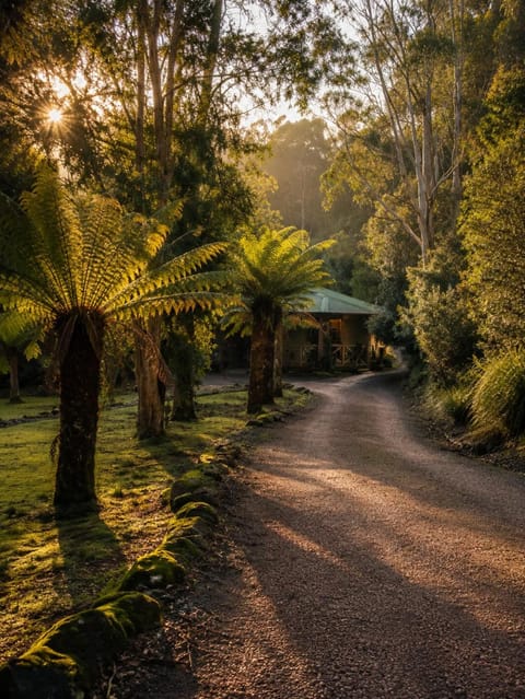 Day, Natural landscape