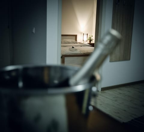 Radman's house Bed and Breakfast in Serbia