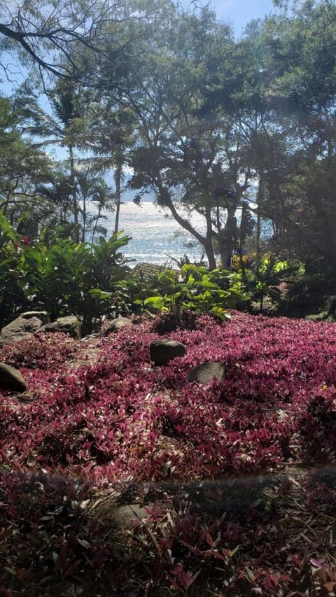 O Sitio - Ilha Grande Inn in State of Rio de Janeiro