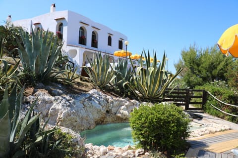 Property building, Garden, Swimming pool