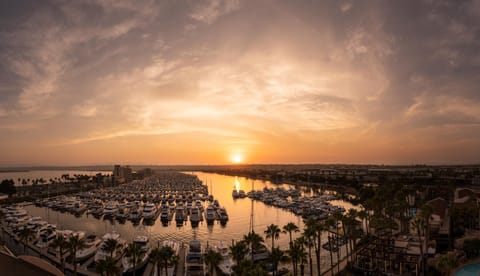 View (from property/room), View (from property/room)