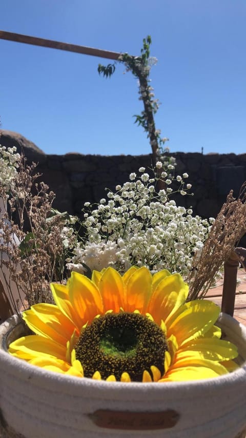 Spring, Day, Garden, Garden view