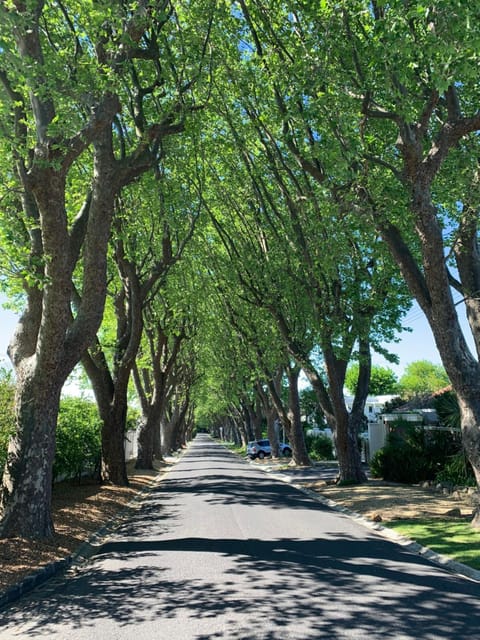 Neighbourhood