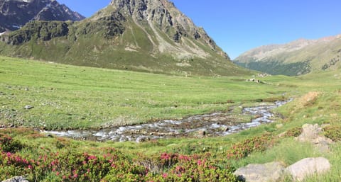 Hostel - Bormio - Livigno - Santa Caterina - Stelvio Hostel in Province of Brescia
