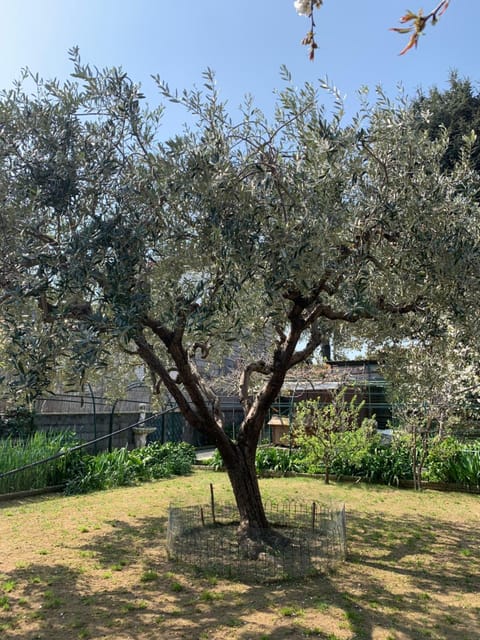 Resort Villa Rosa Maria Apartment in Savona