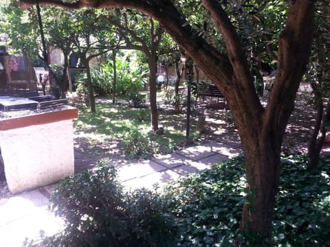 BBQ facilities, Garden