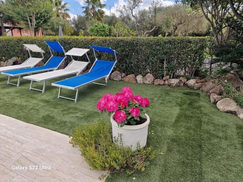 Garden, Swimming pool