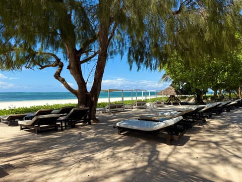 Beach, Beach, sunbed, sunbed