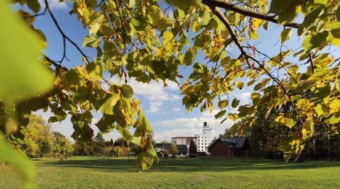 Natural landscape, Garden