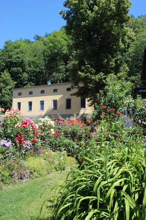 Property building, Garden