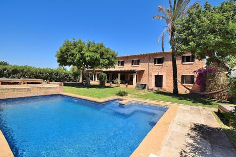 Patio, Garden, Garden view