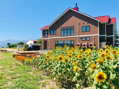 Property building, Natural landscape, Summer, Garden, Garden view
