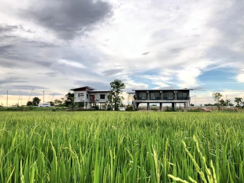 Property building, Neighbourhood