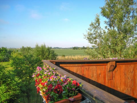 Herrendeich House in Nordstrand