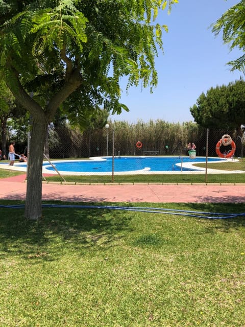 Garden, Garden view, Swimming pool