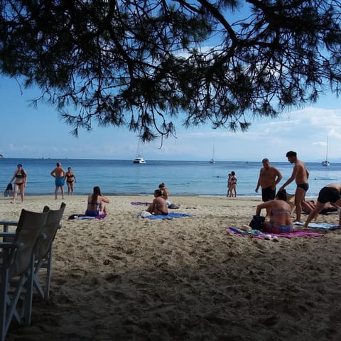 Luxury House for all Seasons Apartment in Halkidiki