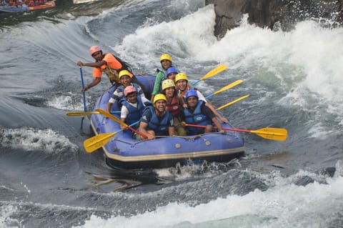 Activities