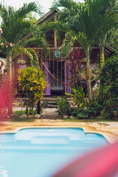 Garden, Swimming pool