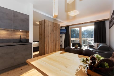 Ferienwohnungen HARASSER - ERLEBEN Apartment in Salzburgerland