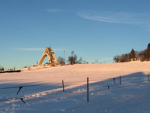 Natural landscape, Winter