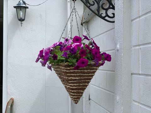 Copthorne - Tintagel House in Tintagel