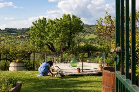 Day, People, Natural landscape, Garden, Garden view