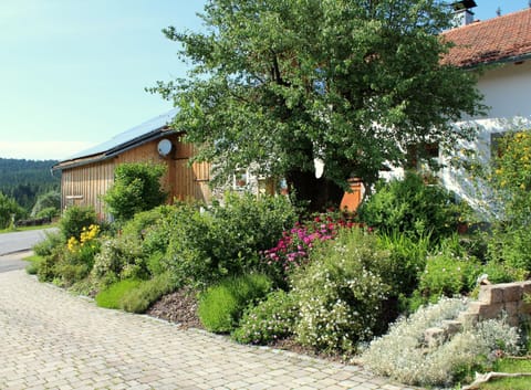 Property building, Garden
