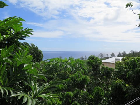 Sea view